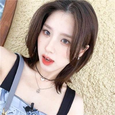 追鹰日记